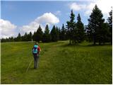 Mislinjski graben (Pestotnik) - Rogla